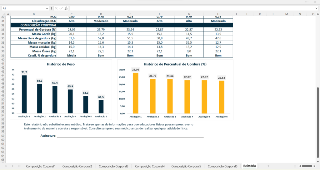 modelo avalição física excel